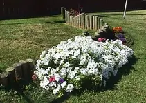 yard.webp