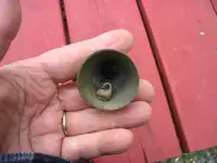Blanebell4.webp