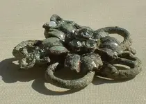 broach 004.webp