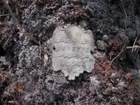 May7FindsSite220000.webp