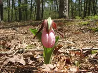 May7FindsSite220002.webp