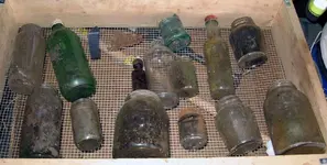 dirty bottles.webp