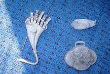 finds.webp