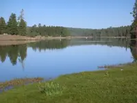 Hawley Lake2.webp