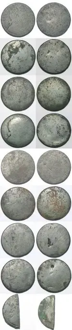 WILLIAM COINS.webp