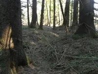 trench.webp