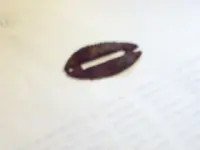 clip.webp