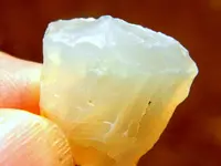 DSCN1022.webp