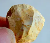 DSCN1015.webp