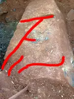 Treas7.webp