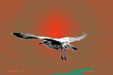 NOONTIME GLIDE 4X6 CARD.webp