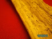 jack 170.webp
