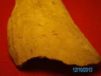 jack 171.webp