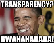 transparency.webp