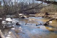 100_4623.webp