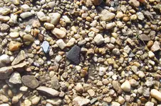 100_4637.webp