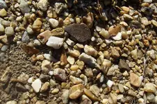 100_4640.webp