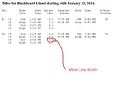 Blackbeard Island tides.webp