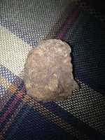 image-709322028.webp