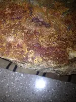 image-623309796.webp