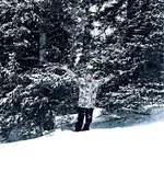 image-3173094731.webp