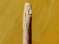 RSCN3833.webp