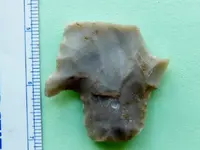 RSCN3845.webp