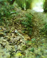 Foto0792.webp