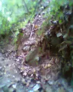 Foto0796.webp