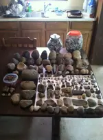 river and field finds.webp