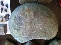 river and field finds o.webp