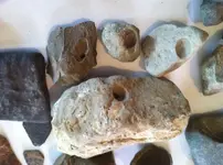 river and field finds n.webp