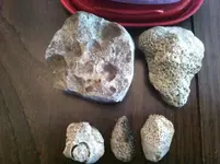 river and field finds m.webp