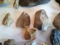 river and field finds j.webp