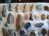 river and field finds i.webp