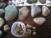river and field finds g.webp