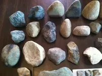 river and field finds f.webp