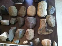 river and field finds e.webp