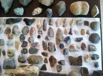 river and field finds d.webp