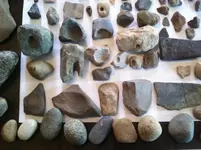 river and field finds c.webp