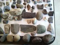 river and field finds b.webp