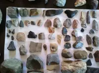river and field finds a.webp