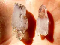 RSCN3828.webp