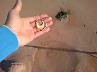 050120141034.webp