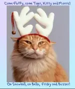 Screen Shot 2013-12-09 at 6.33.30 PM.webp