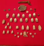 Josh's Finds 12-21 (627x640).webp