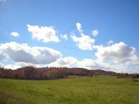 P1010002.webp