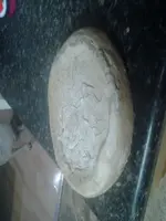 Fossil #4.webp