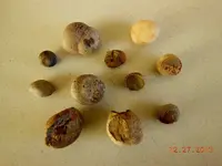DSCN3697.webp