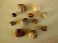 DSCN3698.webp